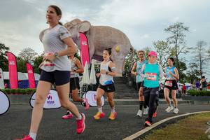 BIB: 
                            <button type="button" onclick="openModal(26528551)" class="btn btn-primary btn-sm float-right btn-popup" data-toggle="modal" data-target=".modal-high-quality">
                        <i class="fas fa-shopping-cart"></i> Add to Cart
                    </button>
                                            <button type="button" onclick="isThisMe(26528551, true)" class="btn btn-success btn-sm float-right btn-popup btn-isme hidden" data-toggle="tooltip" data-placement="bottom" title="นี่คือรูปของคุณใช่ไหม คลิกที่นี่เพื่อเอาเข้าอัลบั้ม">
                        <i class="fas fa-plus"></i> Add to album
                    </button>
                    <button type="button" onclick="isThisMe(26528551, false)" class="btn btn-warning btn-sm float-right btn-popup btn-isnotme hidden">
                        <i class="fas fa-ban"></i> Remove from album
                    </button>